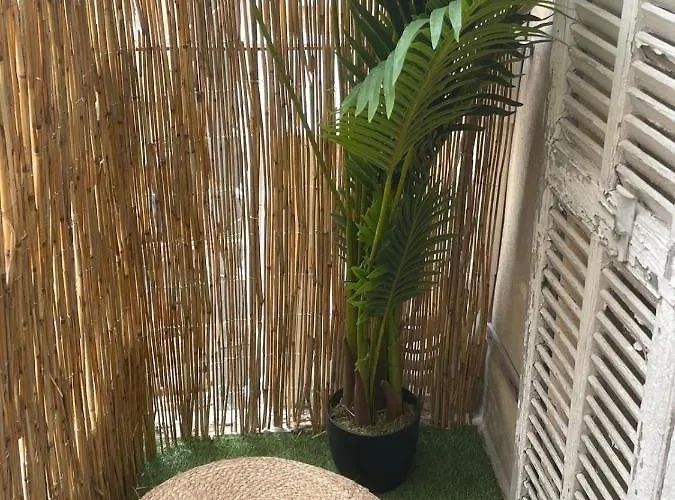 Appartement Coastal